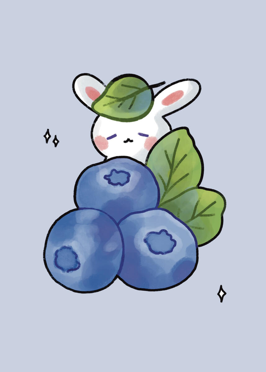 Blueberry Bunny Blueberry Bunny