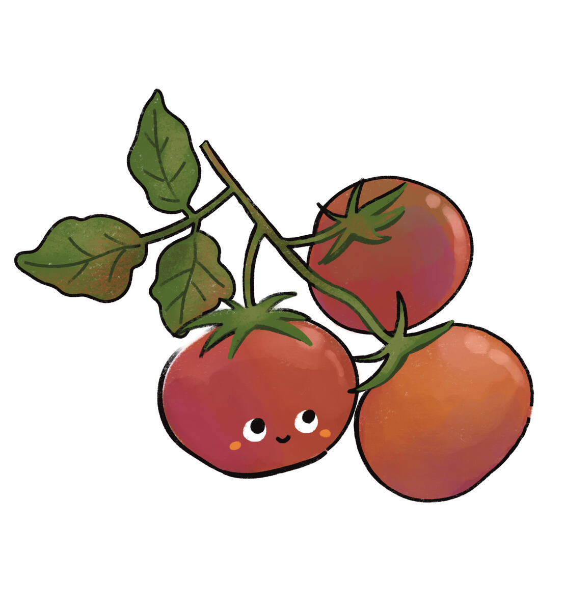 Tomatos Tomatos