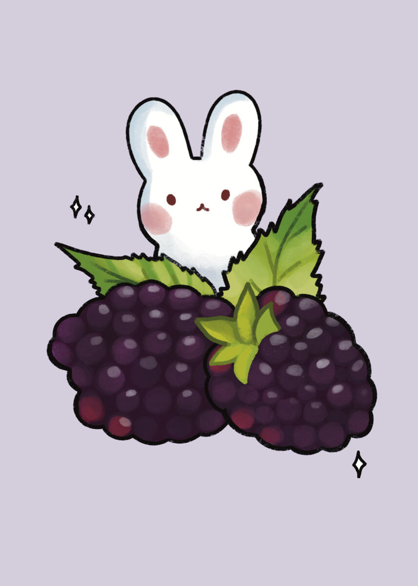 Blackberry Bunny Blackberry Bunny